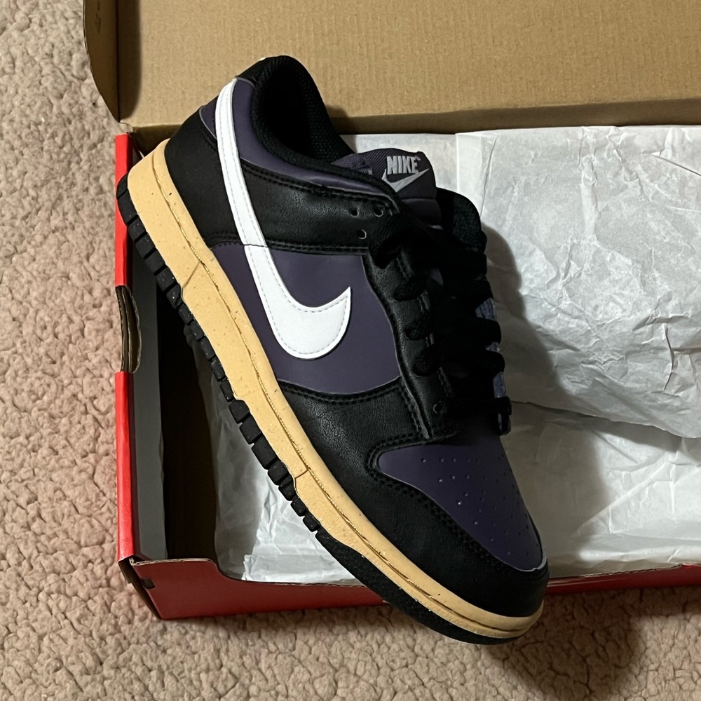 π€ New Womenβs Nike Dunk Low Next Natureπ€